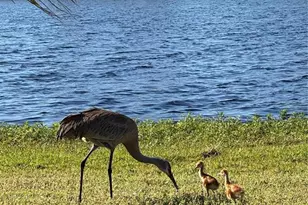 1401 W Hwy 50, Clermont, FL 34711 - Photo 51