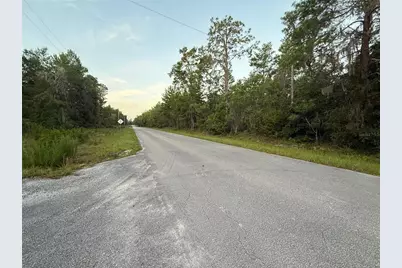 905 E Hillsborough Avenue, Florahome, FL 32140 - Photo 7