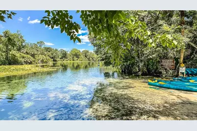 2665 Fiddle Leaf Loop, Apopka, FL 32712 - Photo 37