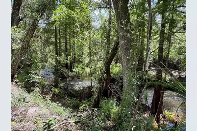 4249 SW 129th Boulevard, Webster, FL 33597 - Photo 11