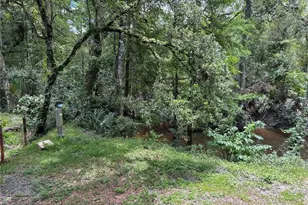 4253 SW 129th Blvd, Webster, FL 33597 - Photo 15