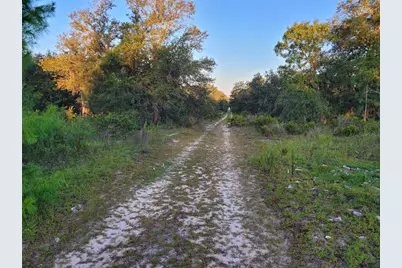 0 NE 61st Lane, Williston, FL 32696 - Photo 3