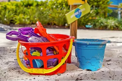 2652 Corvette Lane, Kissimmee, FL 34746 - Photo 65