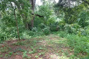 2878 NE 161st St, Citra, FL 32113 - Photo 29