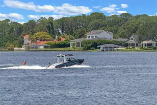 10545 Down Lakeview Cir, Windermere, FL 34786 - Photo 85