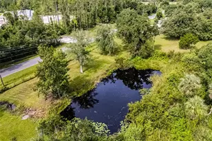 1200 Lake Harney Rd, Geneva, FL 32732 - Photo 9