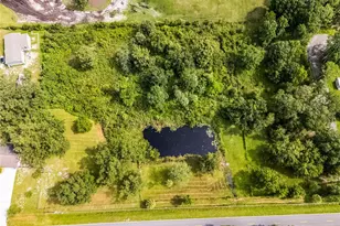 1200 Lake Harney Rd, Geneva, FL 32732 - Photo 53