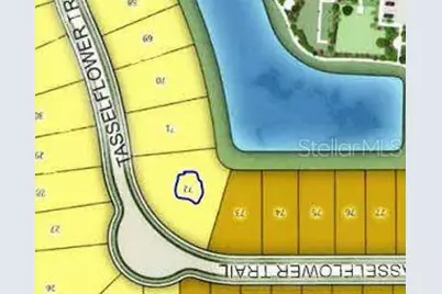 918 Tassleflower Trail, Saint Cloud, FL 34771 - Photo 15