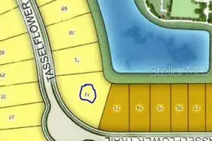 918 Tassleflower Trl, Saint Cloud, FL 34771 - Photo 15