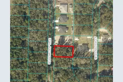 17 Sequoia Trace, Ocklawaha, FL 32179 - Photo 1