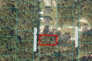17 Sequoia Trace, Ocklawaha, FL 32179 - Photo 1