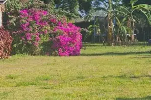 1903 Simonton Ave, Orlando, FL 32806 - Photo 27