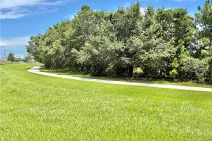 14291 Swanley St, Orlando, FL 32832 - Photo 45