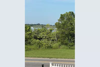 485 N Buena Vista Drive, Lake Alfred, FL 33850 - Photo 5