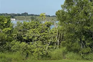 485 N Buena Vista Dr, Lake Alfred, FL 33850 - Photo 5