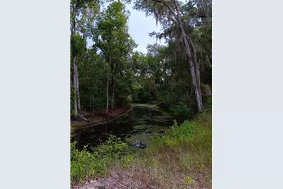 9117 E Royal Palm Drive, Inverness, FL 34450 - Photo 3