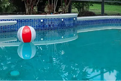 789 White Ivey Court, Apopka, FL 32712 - Photo 35