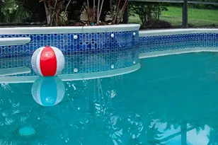 789 White Ivey Ct, Apopka, FL 32712 - Photo 35