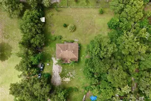 425 Mercers Fernery Rd, Deland, FL 32720 - Photo 41