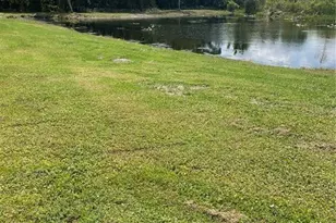 2975 W Osceola Rd, Geneva, FL 32732 - Photo 45