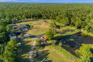 2975 W Osceola Rd, Geneva, FL 32732 - Photo 7