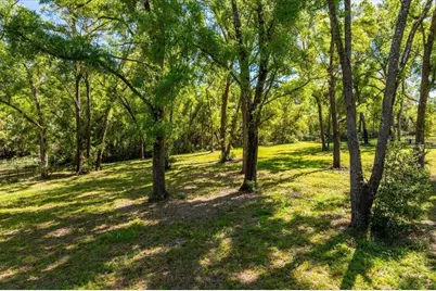 7041 Norne Lane, Mount Dora, FL 32757 - Photo 9