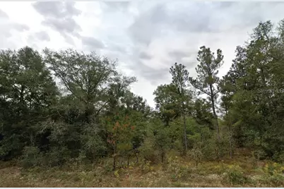 Matheson Street, Chipley, FL 32428 - Photo 1