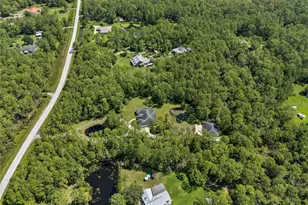 859 Leather Fern Ln, Mims, FL 32754 - Photo 39