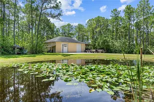 859 Leather Fern Ln, Mims, FL 32754 - Photo 35