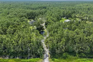 859 Leather Fern Ln, Mims, FL 32754 - Photo 55