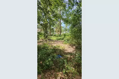 7624 Anno Street, Tampa, FL 33625 - Photo 1