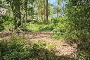 7624 Anno St, Tampa, FL 33625 - Photo 1