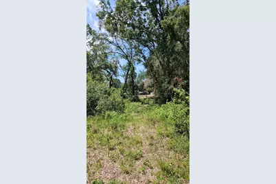 7624 Anno Street, Tampa, FL 33625 - Photo 3