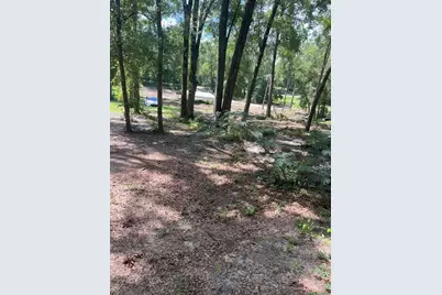 12695 SW 64th St Rd, Ocala, FL 34481 - Photo 1