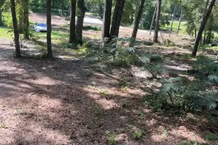 12695 SW 64th Street Rd, Ocala, FL 34481 - Photo 1