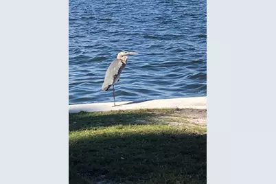 7020 U.S 1 #EE-202, Cocoa, FL 32927 - Photo 27