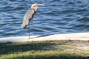 7020 US-1, Cocoa, FL 32927 - Photo 27