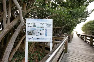 779 St Judes Dr N, Longboat Key, FL 34228 - Photo 39