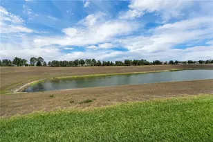 9005 Stinger Dr, Davenport, FL 33896 - Photo 29