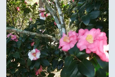 1715 W Lake Mary Boulevard, Lake Mary, FL 32746 - Photo 45