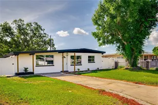 6213 N Cameron Ave, Tampa, FL 33614 - Photo 1