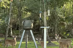 2401 Wassum Trail, Chuluota, FL 32766 - Photo 41