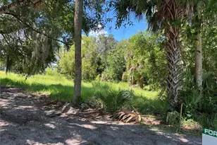 104 W Michael Gladden Blvd, Apopka, FL 32703 - Photo 1