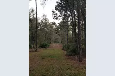 12864 SW 41st Place, Ocala, FL 34481 - Photo 5