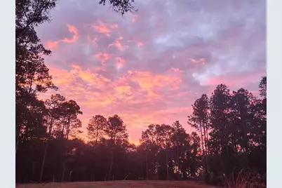 12864 SW 41st Place, Ocala, FL 34481 - Photo 1