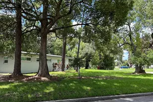 6031 Chenango Ln, Orlando, FL 32807 - Photo 37