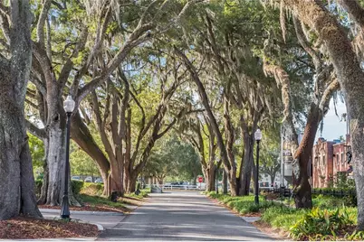 1073 Vinsetta Circle, Winter Garden, FL 34787 - Photo 59