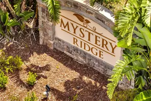 1156 Mystery Cir, Davenport, FL 33837 - Photo 15