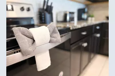 2442 Dubai Street, Kissimmee, FL 34747 - Photo 25