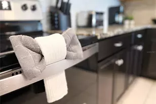 2442 Dubai St, Kissimmee, FL 34747 - Photo 25